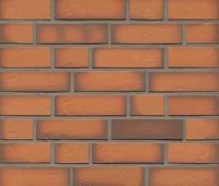 Клинкерная плитка Feldhaus Klinker, R718NF14 Accudo Terracotta Vivo в Волгограде