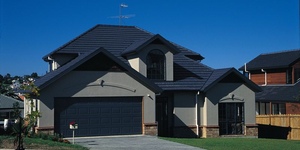 Gerard Shake,  Charcoal 6.jpg