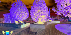 Террасная доска из ДПК Bamberg, Solid, Brazilian Walnut6