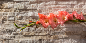 Кварцит Beige Quartz Classic 2