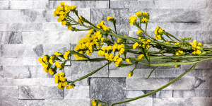 Мрамор Cloudy Grey Modern2