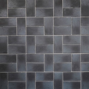 Клинкер тротуарный ангобированный ЛСР "Зальцбург" Платина Классик