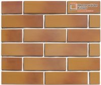 Клинкерная плитка WK25 WesterWälder