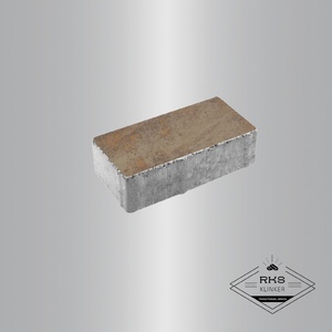 Тротуарная плитка ПРЯМОУГОЛЬНИК - А.2.П.4, Листопад гладкий, Клён