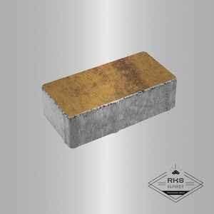 Тротуарная плитка ПРЯМОУГОЛЬНИК - Б.2.П.6, Листопад гладкий, Янтарь