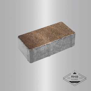 Тротуарная плитка ПРЯМОУГОЛЬНИК - Б.2.П.6, Листопад гранит, Клён