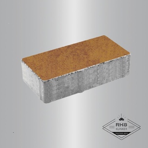 Тротуарная плитка ПРЯМОУГОЛЬНИК - В.2.П.10, Листопад гладкий, Каир