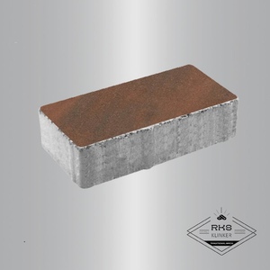 Тротуарная плитка ПРЯМОУГОЛЬНИК - В.2.П.10, Листопад гладкий, Клинкер