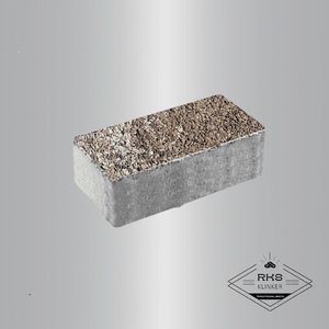 Тротуарная плитка ПРЯМОУГОЛЬНИК - В.2.П.10, Листопад гранит, Хаски