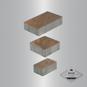 Тротуарная плитка СТАРЫЙ ГОРОД - Б.1.Фсм.8, Листопад гладкий, Клён