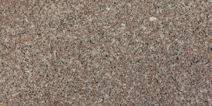 Sesame Light(1)