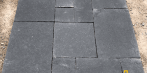 belgian black_3 (2)