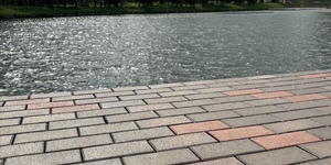 Клинкер тротуарный ЛСР Глазго, флешинг 25