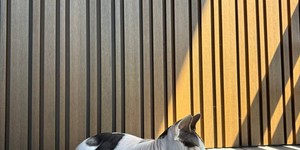 Реечная панель ДПК Turtle Shell Different Lines Australian Palisander Co-Extrusion рейки для стен фасада долговечный материал (1 (3)